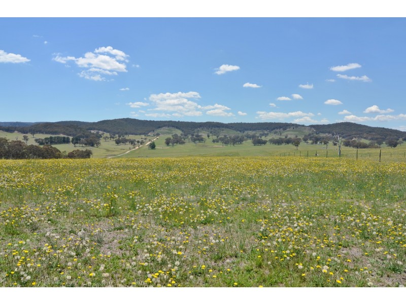 Lot 11 Back Cullen Road, Portland NSW 2847