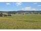 Lot 11 Back Cullen Road, Portland NSW 2847