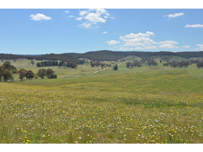Lot 11 Back Cullen Road, Portland NSW 2847