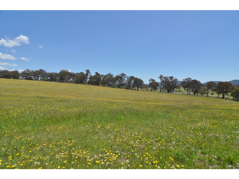 Lot 11 Back Cullen Road, Portland NSW 2847