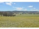 Lot 12 Back Cullen Road, Portland NSW 2847