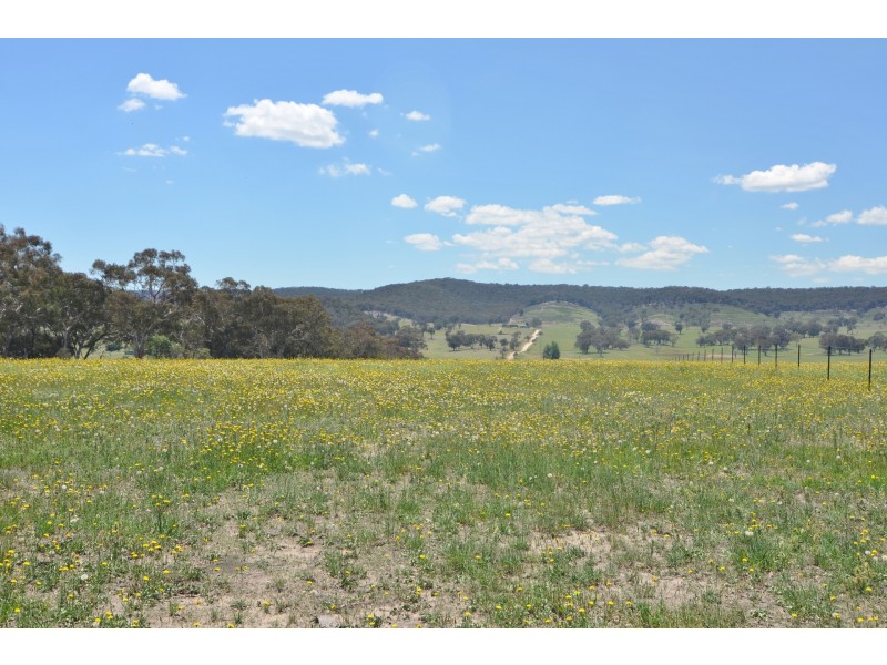 Lot 12 Back Cullen Road, Portland NSW 2847