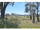 Lot 12 Back Cullen Road, Portland NSW 2847