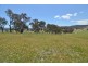 Lot 12 Back Cullen Road, Portland NSW 2847