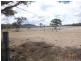 224 Wolgan Road, Lidsdale NSW 2790
