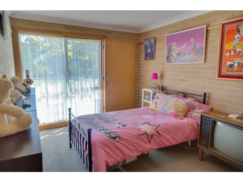 313 Cullen Bullen Road, Portland NSW 2847
