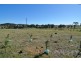30 Drumkeen Lane, Portland NSW 2847