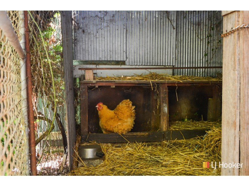 43 Stephenson Street, Lithgow NSW 2790