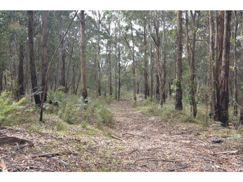 Lot 4 Browns Gap Road, Hartley NSW 2790