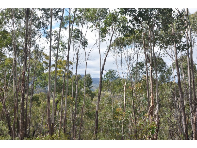 Lot 4 Browns Gap Road, Hartley NSW 2790