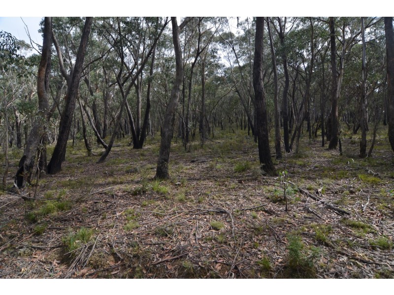 Lot 4 Browns Gap Road, Hartley NSW 2790