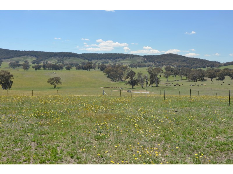 Lot 7 Back Cullen Road, Portland NSW 2847