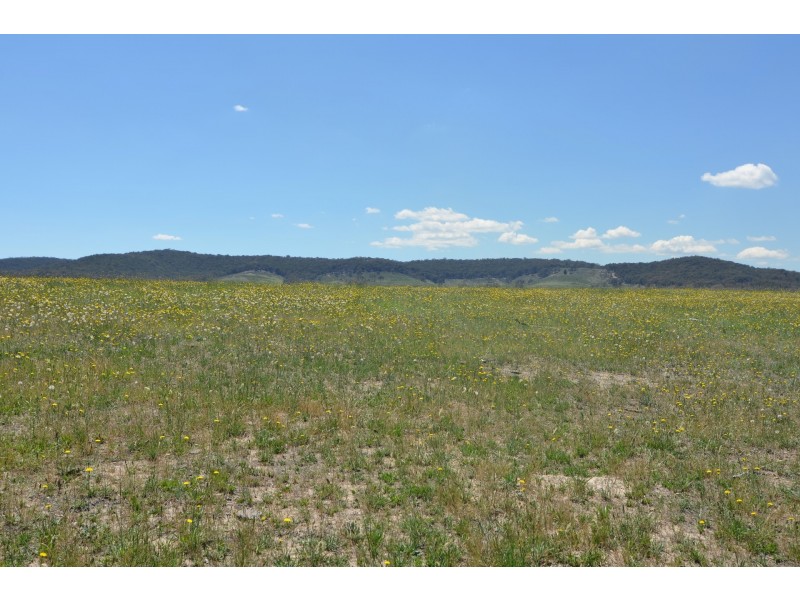 Lot 8 Back Cullen Road, Portland NSW 2847