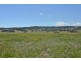 Lot 8 Back Cullen Road, Portland NSW 2847