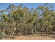 28 Arcadia Place, Meadow Flat NSW 2795