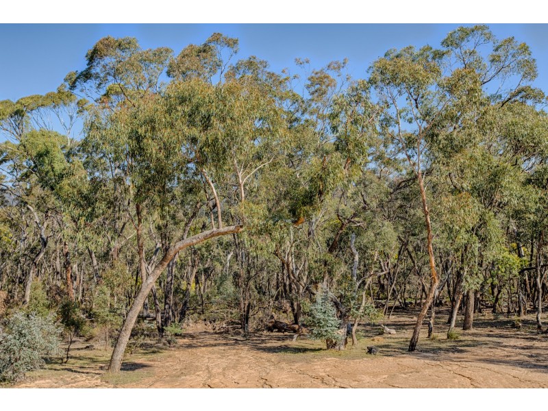 28 Arcadia Place, Meadow Flat NSW 2795