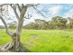 1024 Pipers Flat Road, Pipers Flat NSW 2847