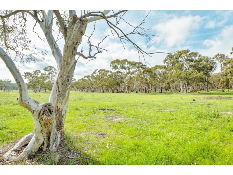1024 Pipers Flat Road, Pipers Flat NSW 2847