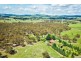 1024 Pipers Flat Road, Pipers Flat NSW 2847