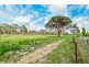 1024 Pipers Flat Road, Pipers Flat NSW 2847