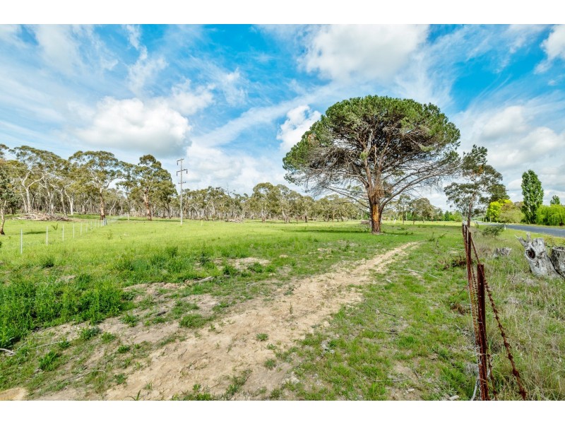 1024 Pipers Flat Road, Pipers Flat NSW 2847