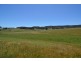 455 Back Cullen Road, Portland NSW 2847