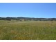 455 Back Cullen Road, Portland NSW 2847