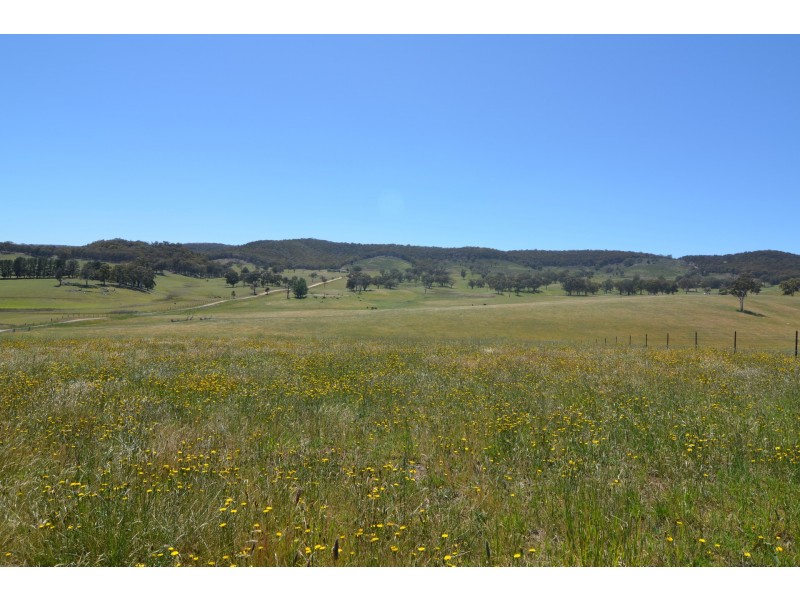 455 Back Cullen Road, Portland NSW 2847