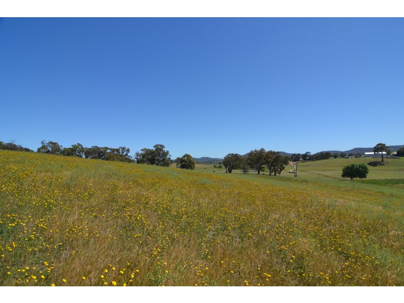 455 Back Cullen Road, Portland NSW 2847