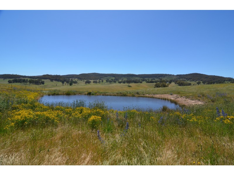 477 Back Cullen Road, Portland NSW 2847