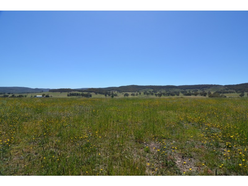 477 Back Cullen Road, Portland NSW 2847