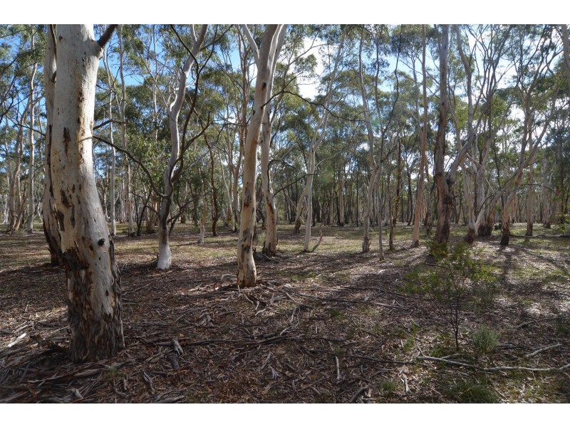 Lots 14-22 Browns Gap Road, Little Hartley NSW 2790