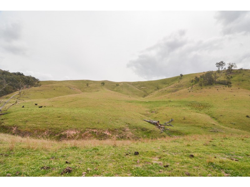 Lot 52, 91 Peach Tree Road, Megalong Valley NSW 2785