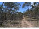 Lot 43, 76 off Wattlemount Road/Pinnacle Fire Trail, Portland NSW 2847