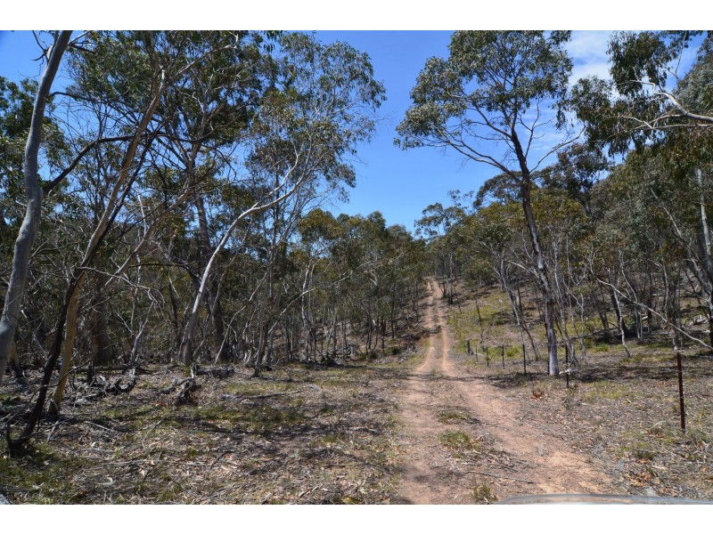 Lot 43, 76 off Wattlemount Road/Pinnacle Fire Trail, Portland NSW 2847