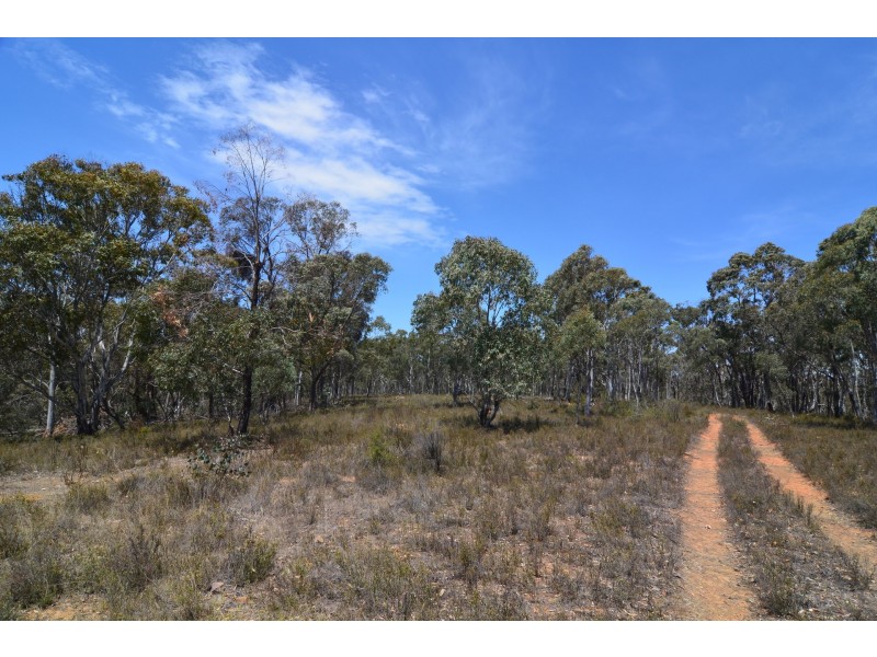 Lot 43, 76 off Wattlemount Road/Pinnacle Fire Trail, Portland NSW 2847