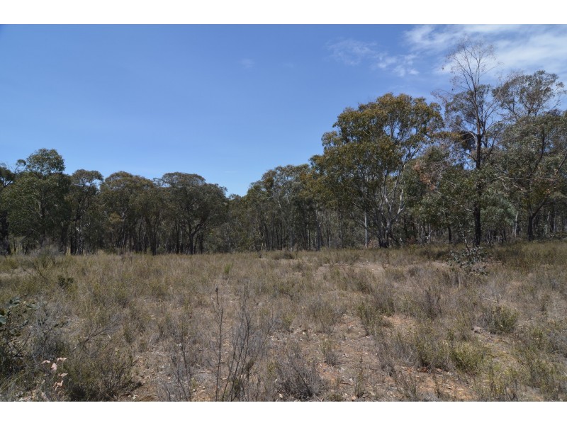 Lot 43, 76 off Wattlemount Road/Pinnacle Fire Trail, Portland NSW 2847