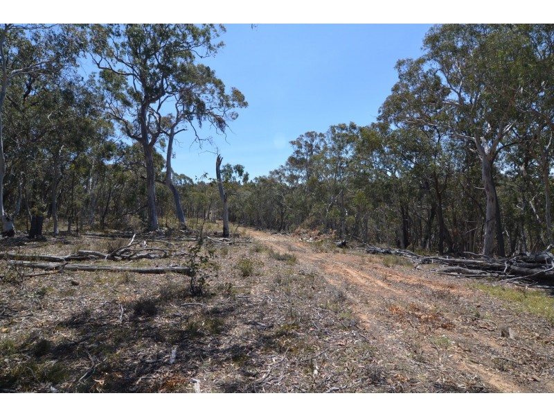 Lot 43, 76 off Wattlemount Road/Pinnacle Fire Trail, Portland NSW 2847