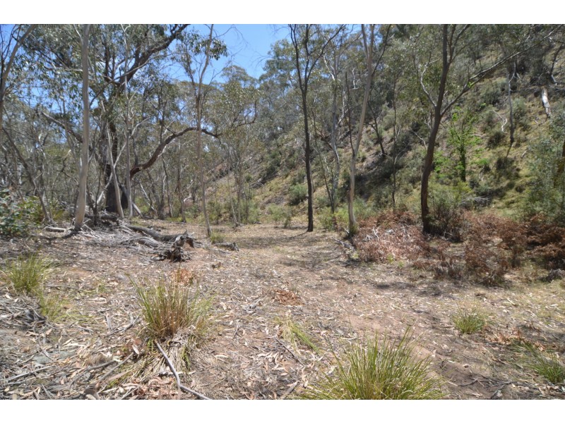 Lot 43, 76 off Wattlemount Road/Pinnacle Fire Trail, Portland NSW 2847
