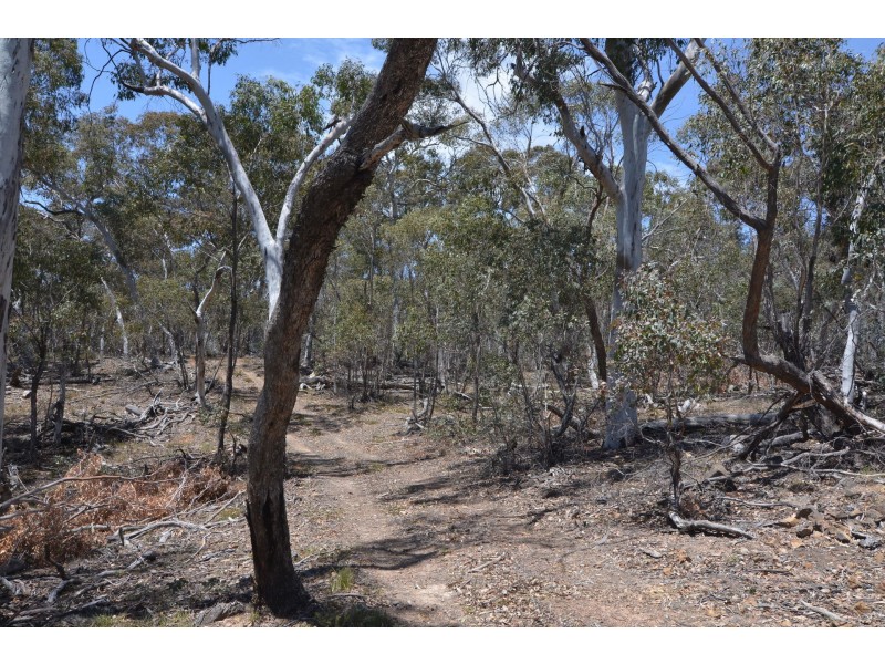 Lot 43, 76 off Wattlemount Road/Pinnacle Fire Trail, Portland NSW 2847