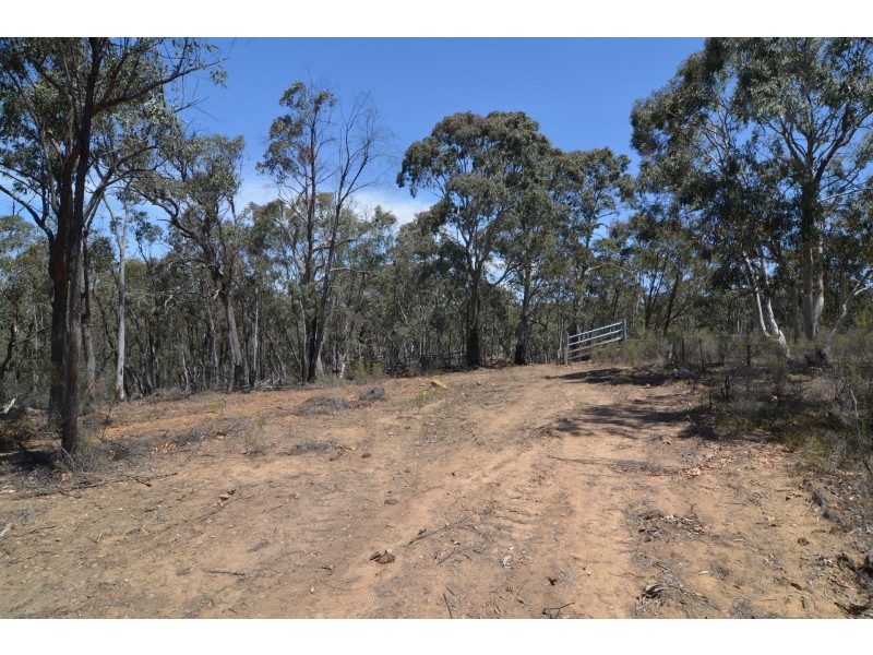 Lot 43, 76 off Wattlemount Road/Pinnacle Fire Trail, Portland NSW 2847