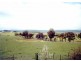 Lot 9 Sunny Corner Road, Portland NSW 2847