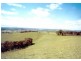 Lot 9 Sunny Corner Road, Portland NSW 2847