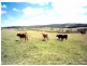 Lot 9 Sunny Corner Road, Portland NSW 2847