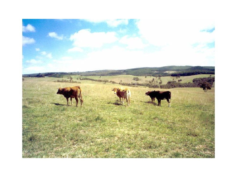 Lot 9 Sunny Corner Road, Portland NSW 2847