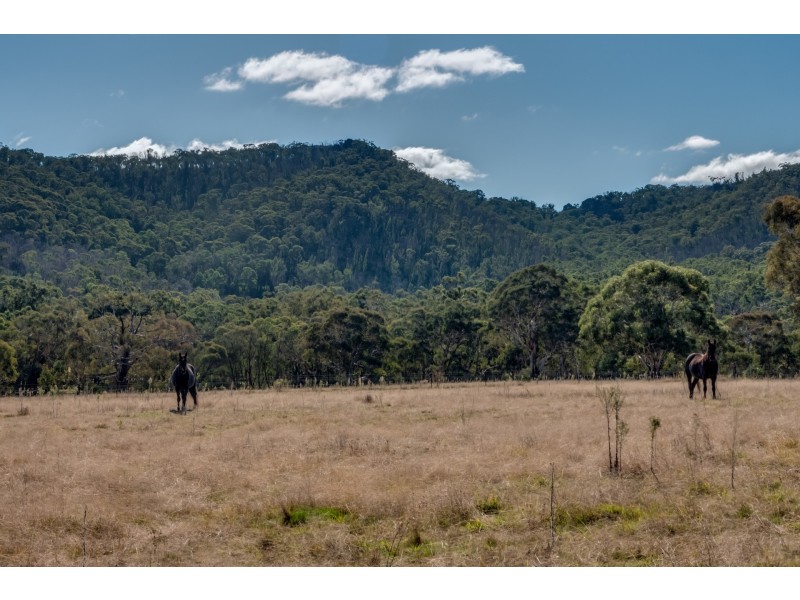 107 Reserve Road, Marrangaroo NSW 2790