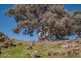 107 Reserve Road, Marrangaroo NSW 2790