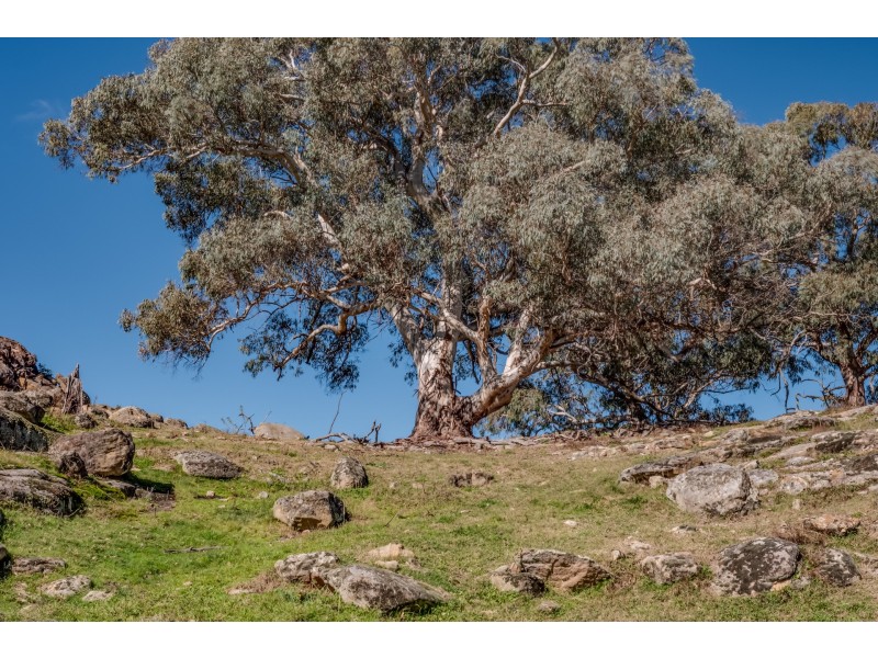 107 Reserve Road, Marrangaroo NSW 2790