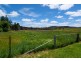 151 Wolgan Road, Lidsdale NSW 2790