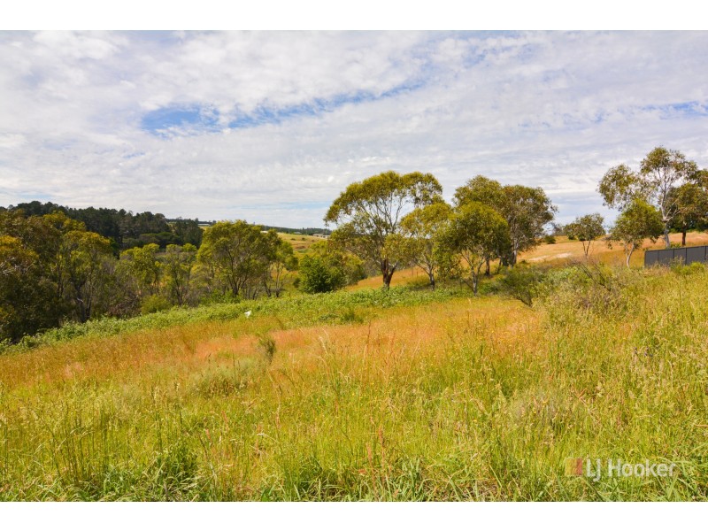 67 Henning Crescent, Wallerawang NSW 2845